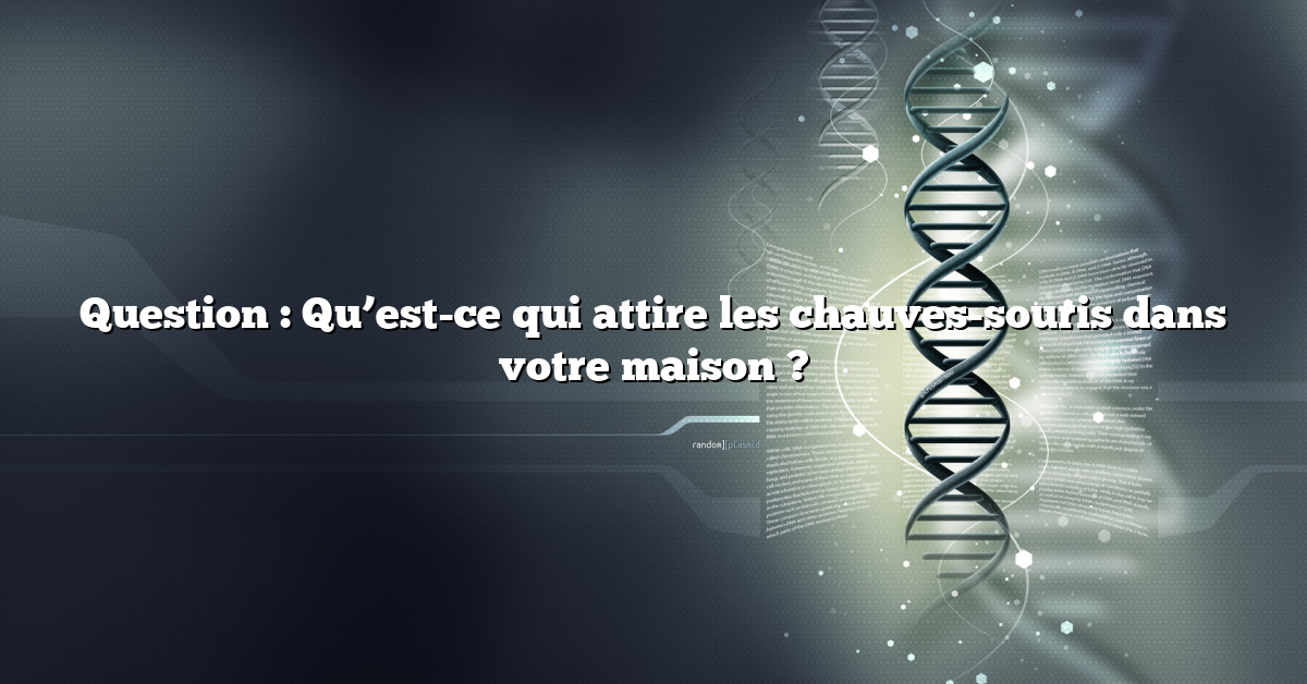 Question : Qu’est-ce qui attire les chauves-souris dans votre maison ?